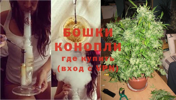 гашик Кукмор
