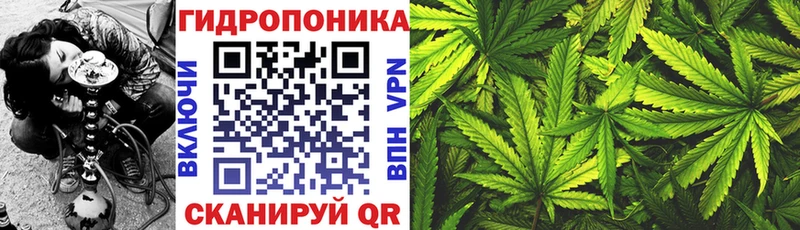 Марихуана марихуана  даркнет сайт  Среднеколымск 