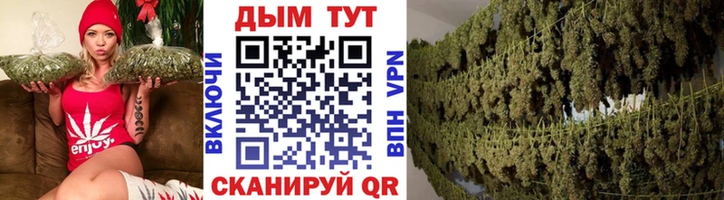 Каннабис сатива Среднеколымск